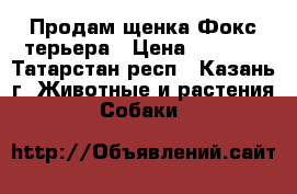 Продам щенка Фокс-терьера › Цена ­ 6 000 - Татарстан респ., Казань г. Животные и растения » Собаки   